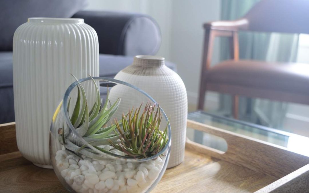 How Important is Indoor Air Quality?