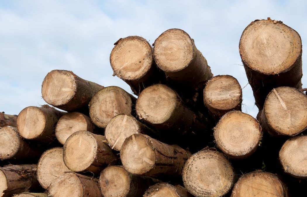 Construction Pricing Update April 2023