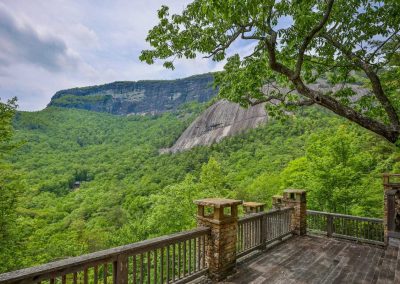 Peregrine at Whiteside Cliffs
