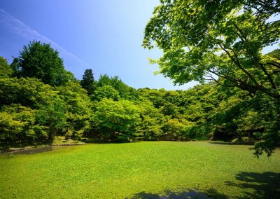 The Village at Longcliff